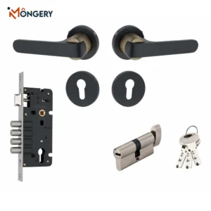 Fire-Rated Lever Handle Set